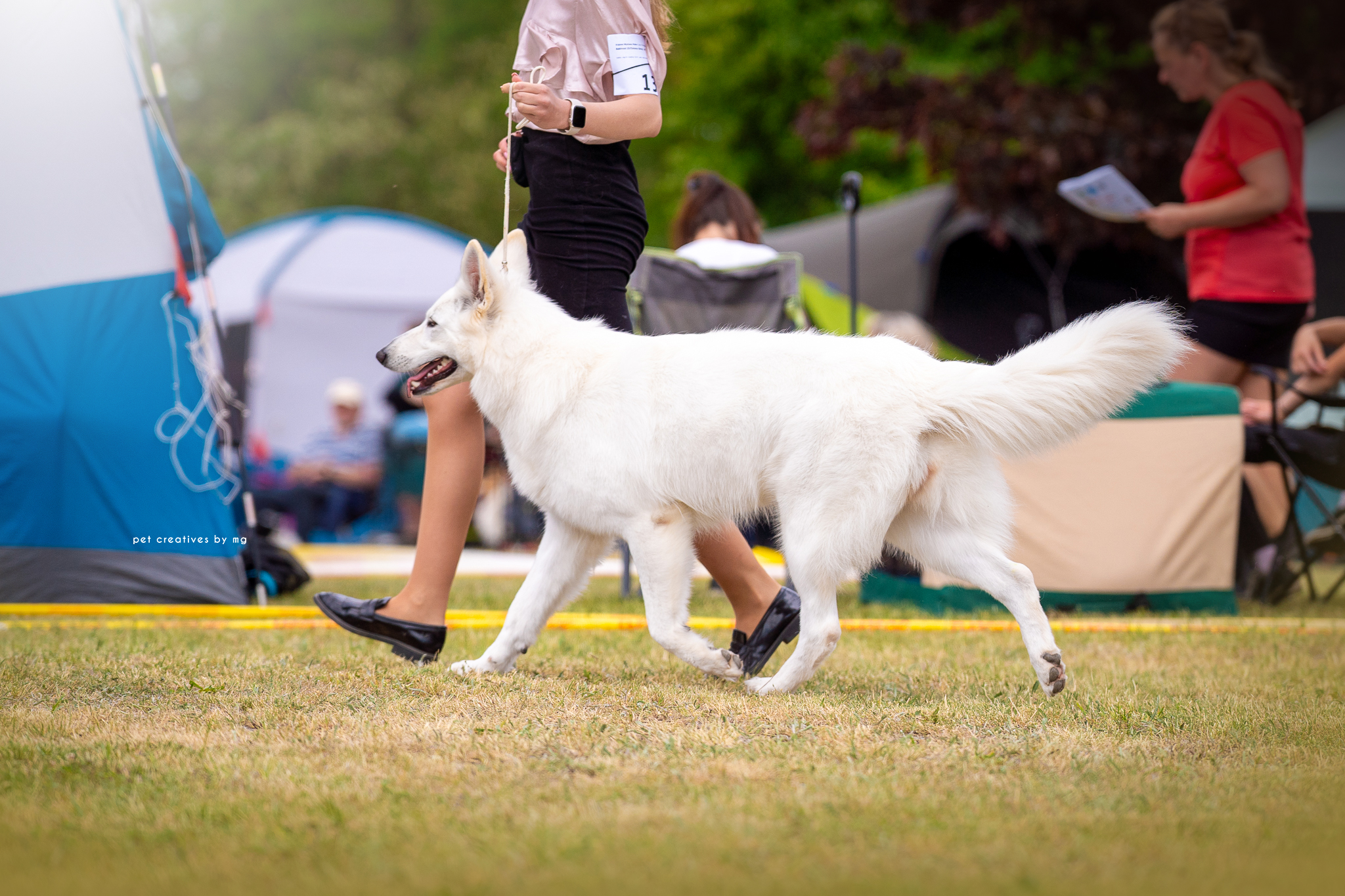 Foxy Lady - Babimost 2024